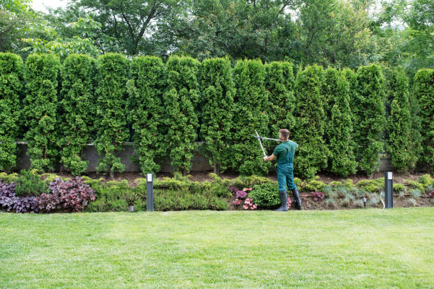 Best Commercial Tree Services  in Bradford, TN