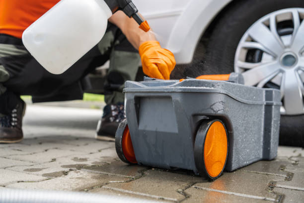 Best Lawn Drainage Solutions  in Bradford, TN